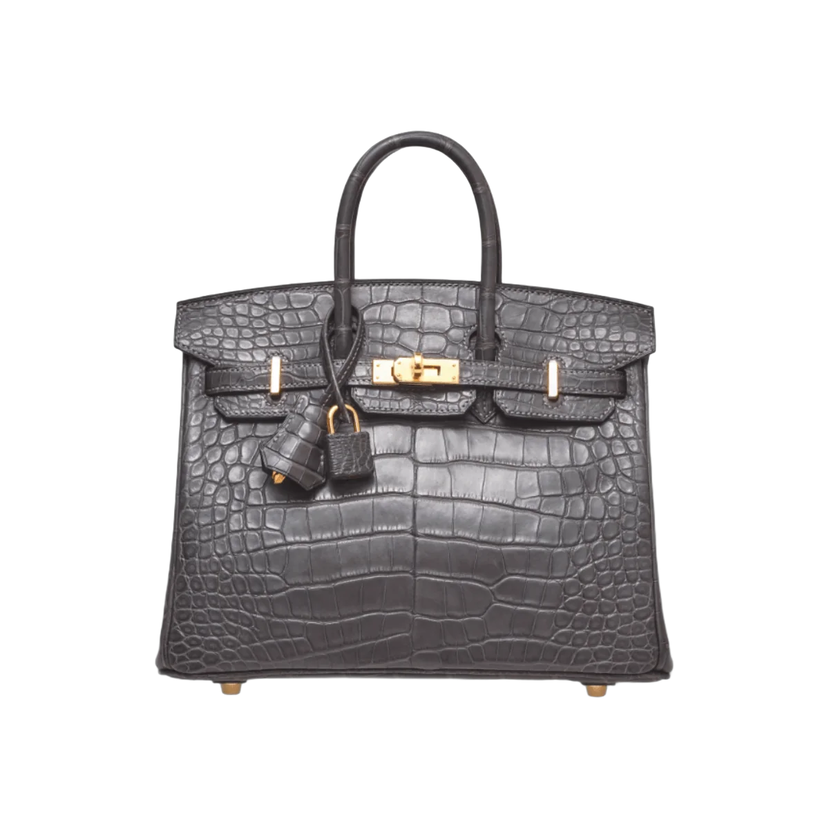 Hermes Birkin 25 Graphite Matte Croco Gold Hardware Handbag