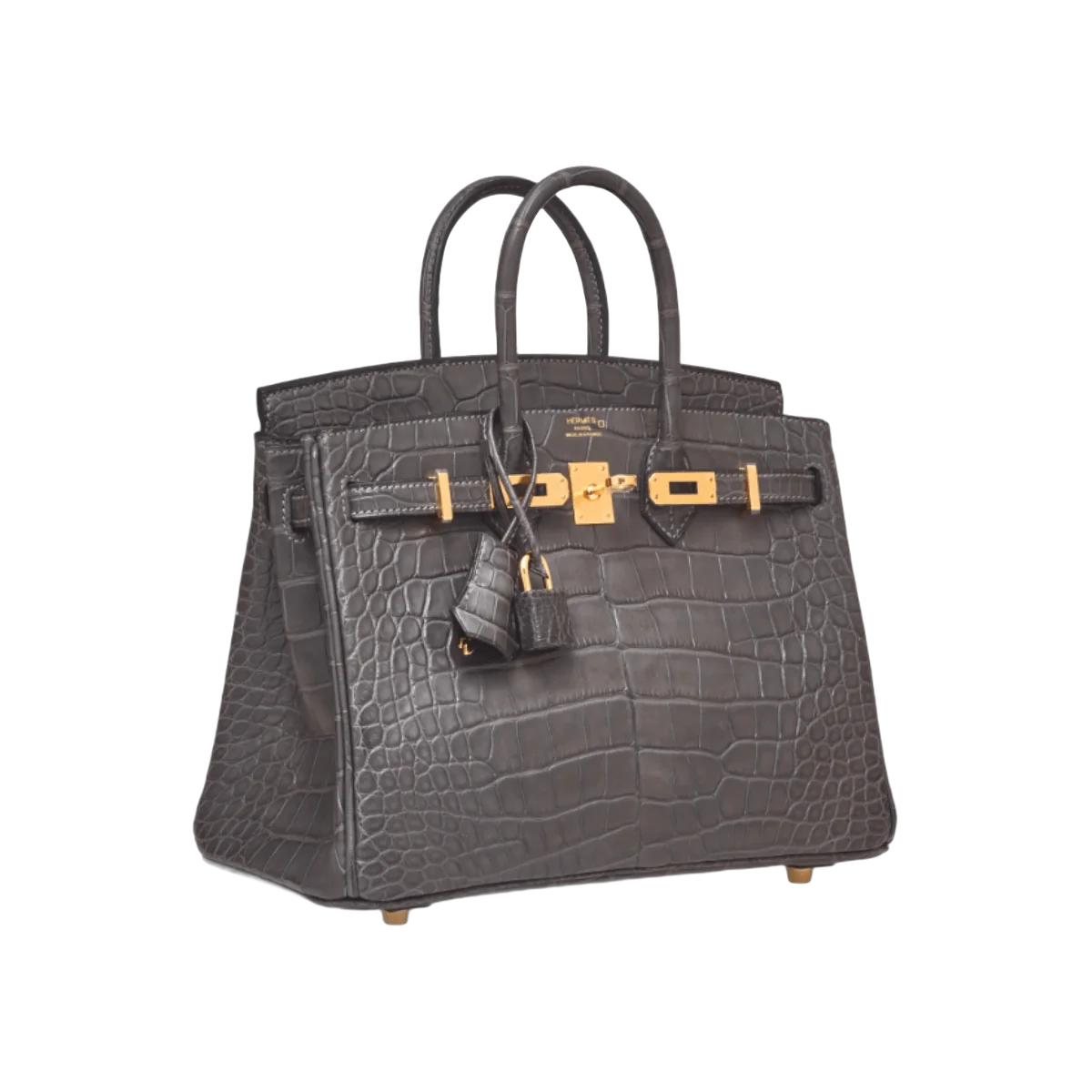 Hermes Birkin 25 Graphite Matte Croco Gold Hardware Handbag – additional product photo 4