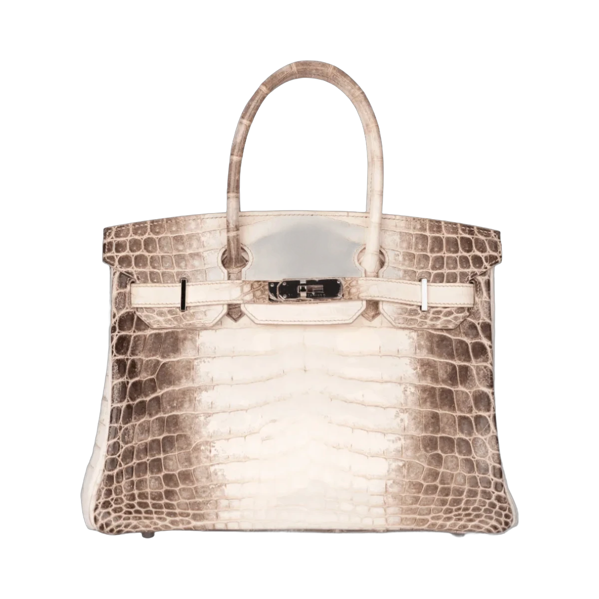 Hermès Birkin 30 Himalaya White Croco Matt Palladium HW Hardware