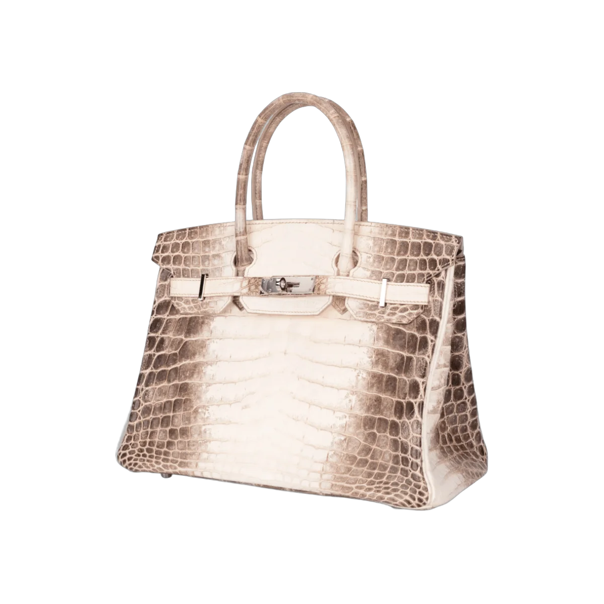 Hermes Birkin 30 Himalaya White Croco Matt Palladium HW Hardware – additional product photo 5